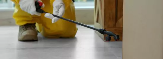 Carpet Stain Removal Ipswich